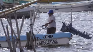 Sierra, carito y chachí: venta de pescado mejora en los muelles de Campeche