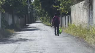 De no ser rentable, Imí tendría conexión al Ko’ox mediante colectivo