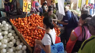 Locatarios del mercado de Campeche enfrentan coyotaje y encarecimiento del tomate