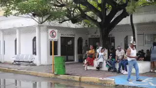 Los gastos de manutención y el tiempo de crianza influyen mucho en la decisión de las nuevas familias