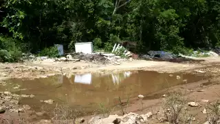 Cozumel y Lázaro Cárdenas en alerta roja por dengue; Quintana Roo suma 214 casos