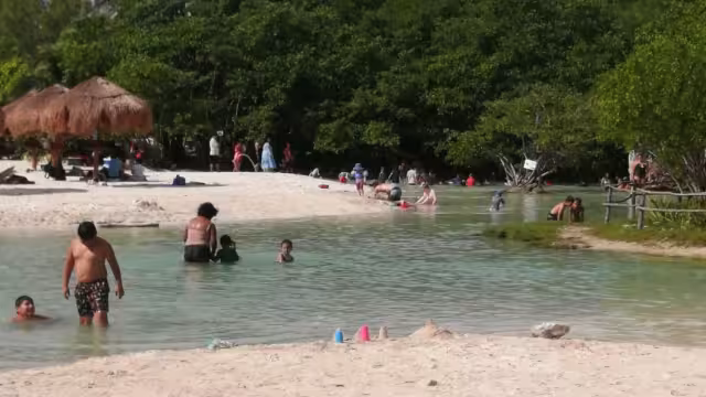 Los fines de semana llegan hasta 3 mil personas a disfrutar del lugar que cuenta con una fuente de agua dulce que conecta con el mar, rodeada de manglares