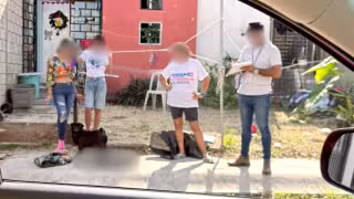 Vecinos denuncian cuatro casos de  gatos envenenados en  Playa del Carmen