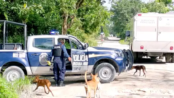 El cuerpo se localizó durante un operativo en un área verde de la colonia El Porvenir El cuerpo se localizó durante un operativo en un área verde de la colonia El Porvenir