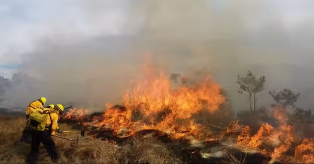 Autoridades advierten que una chispa puede desatar incendios en la temporada más crítica del año