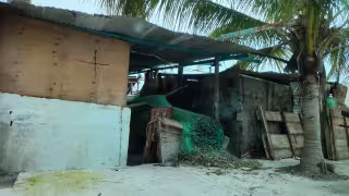 Regularización de asentamientos en Carmen debe ser prioridad, señala Gustavo Novelo