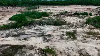 La vegetación removida corresponde a un ecosistema de selva mediana caducifolia