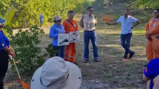 Ambientalistas refuerzan acciones por anidación del Charrán mínimo en Ciudad del Carmen