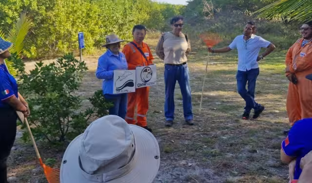Ambientalistas y autoridades refuerzan acciones de conservación en Laguna de Términos