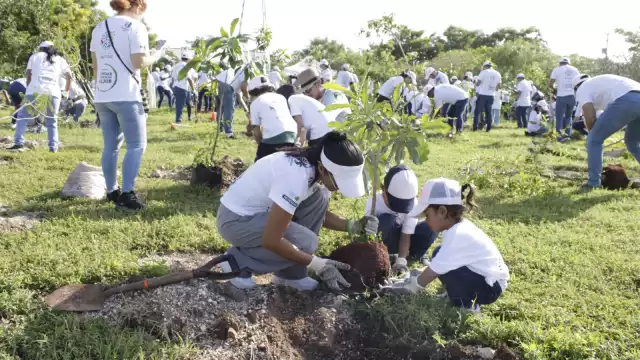 Se plantaron árboles de Campanita, Balche, Chacte, entre otros