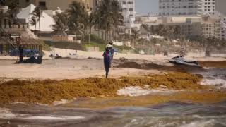 Los operadores turísticos de este destino reportan cancelaciones cuando los vacacionistas observan las condiciones del mar