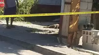 El caso generó indignación