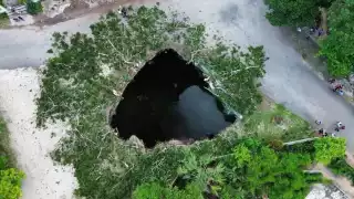 Caída de una ceiba a un cenote en Valladolid es ‘mal augurio’,  revela defensor maya