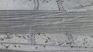 Activistas denuncian ingreso de vehículos a playas protegidas en Isla del Carmen.