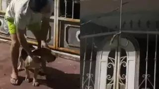 Residentes señalaron que el presunto responsable se dedica a la venta de perros