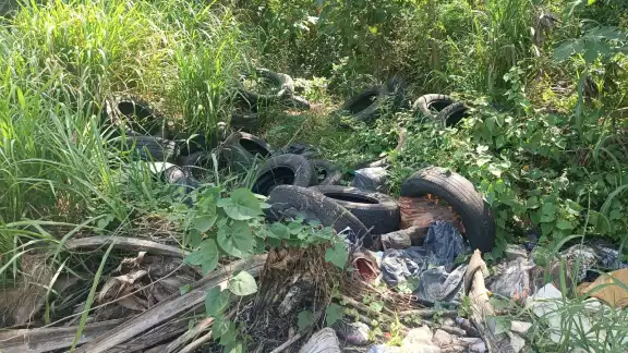 La acumulación de basura afecta la salude de los habitantes La acumulación de basura afecta la salude de los habitantes