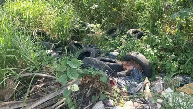 La acumulación de basura afecta la salude de los habitantes