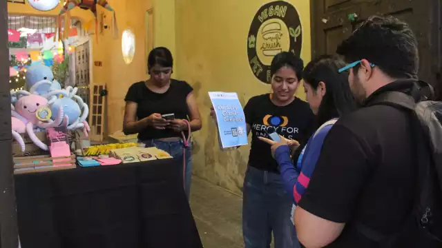 Organizaciones a favor de los animales recolectan firmas para cancelar el proyecto en Sisal