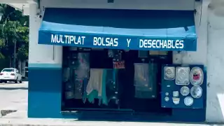Activistas consideraron que el cobro que la Procuraduría de Protección al Ambiente pretende realizar por la comercialización de productos de nylon es con fines políticos
