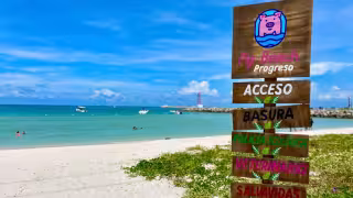 Los especímenes en cuestión ahora se encuentran en la UMA de Timucuy en donde serán bien cuidados