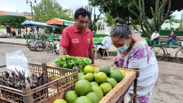El costo del kilo de limón oscila entre los 12 y los 15 pesos.