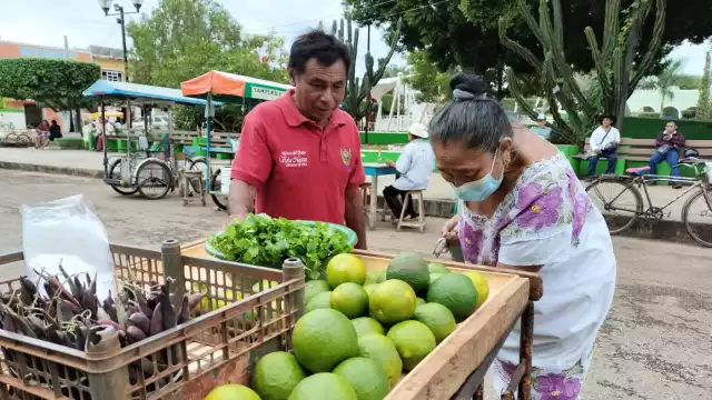 El costo del kilo de limón oscila entre los 12 y los 15 pesos.