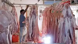 La Dirección Contra Riesgos Sanitarios ha trabajado en la búsqueda de rastros clandestinos.