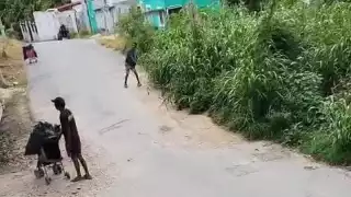 Habitantes de Seybaplaya exigen detener a “El Charal” por ataques en San Isidro
