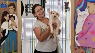 La autoridad busca otorgar una nueva oportunidad y una mejor calidad de vida para las mascotas rescatadas