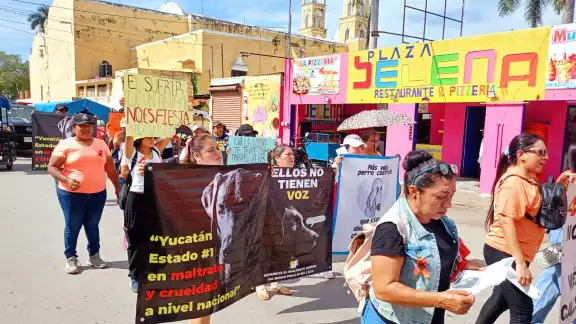 Pobladores efectúan una marcha pacífica por el Centro, exigiendo justicia para el perrito Cacahuate Pobladores efectúan una marcha pacífica por el Centro, exigiendo justicia para el perrito Cacahuate