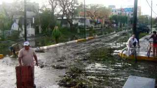 El fin de la contratación de dicho seguro es proteger la infraestructura pública, los arrecifes y las playas de la entidad