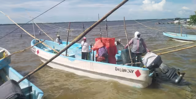 Los pescadores aprovechan los días que sí pueden salir a la mar para traer regular captura y administrar sus ganancias.