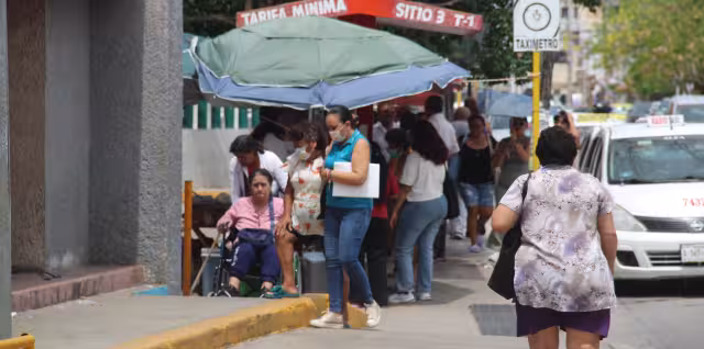 En Yucatán existen por lo menos una docena de alergias comunes.