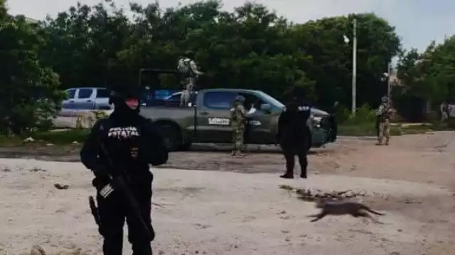 Autoridades federales cumplen órdenes de cateo en busca de enervantes, en Dzilam de Bravo