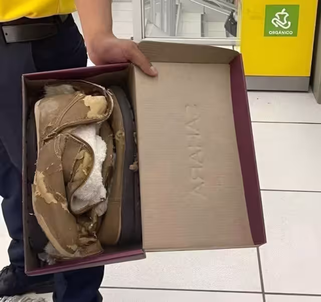 ¿Zapatos con vida propia? Aparecen botas viejas en caja de calzado nuevo
