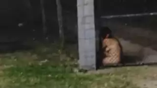 Una mujer fue hallada completamente desnuda cerca de una subestación de la CFE.