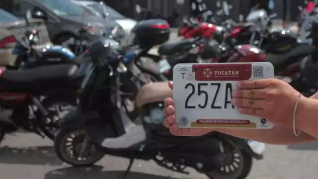 Yucatecos acuden a los módulos para llevar a cabo el trámite del canje de matrículas