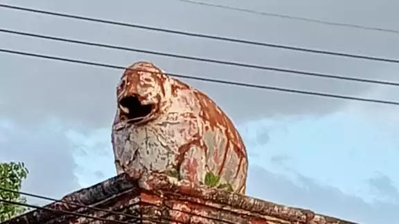 "Fue durante más de un siglo un rincón significativo de Mérida". "Fue durante más de un siglo un rincón significativo de Mérida".