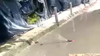 Los habitantes aseguran haber reportado el problema, pero no ha habido solución