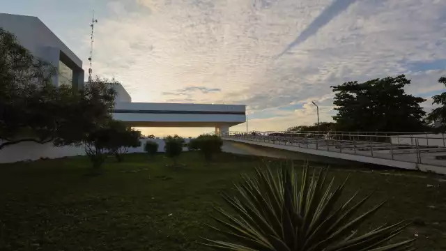 La FGE Yucatán se encargó del caso de violencia familiar