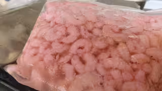 Veda del camarón 2025: Vigilan mercados en Ciudad del Carmen para evitar venta ilegal   