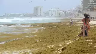 Al momento de tener contacto con la macroalga, se recomienda lavarse con agua y sabanas
