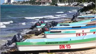 Dirigente de un gremio aseguró que el primer trimestre del 2026 será de inactividad, debido a que empieza la veda de varias especies