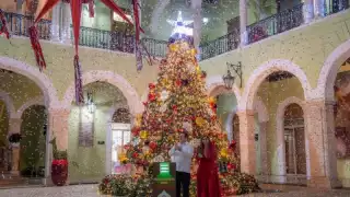 Llega la Navidad al Palacio de Gobierno en Mérida: encienden el Árbol junto a niños de Casa Otoch