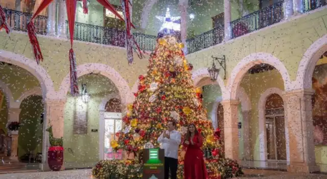 Gobernador Joaquín Díaz Mena enciende el árbol navideño en Palacio de Gobierno