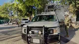 No se menciona si hay personas detenidas en el operativo en Playa del Carmen