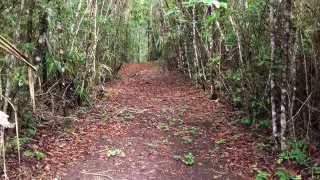 Fauna silvestre y comunidades en riesgo por conflictos agrarios