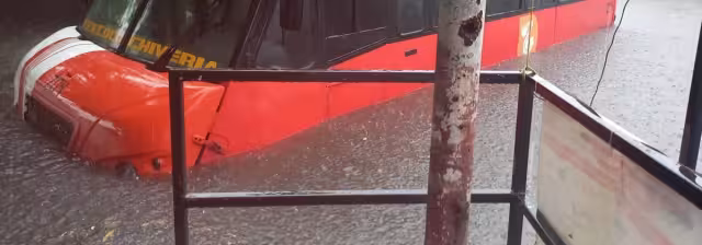 Camiones de transporte público también se encuentran afectados