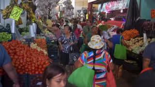 Campeche registra 405 casos de trastornos de la nutrición