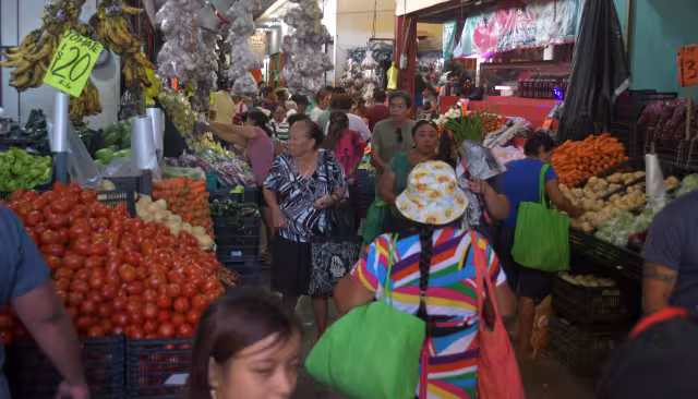Alimentos ultraprocesados aumentan riesgo de enfermedades de temporada